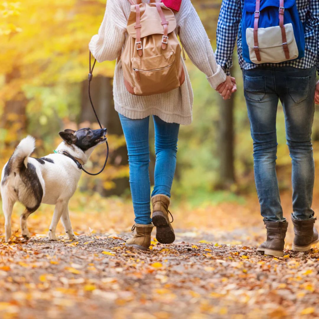 8 Smakelijke wandelingen in Limburg