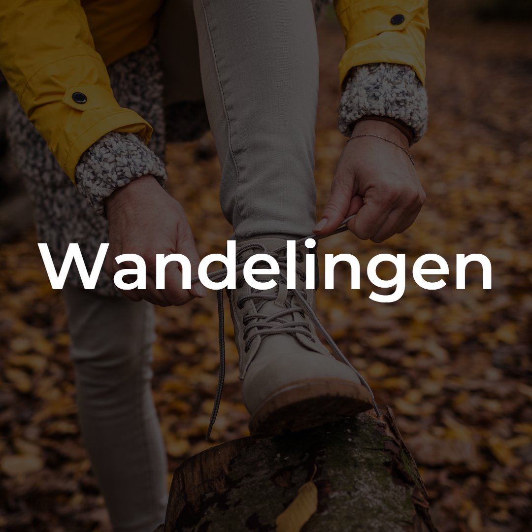 Wandelen