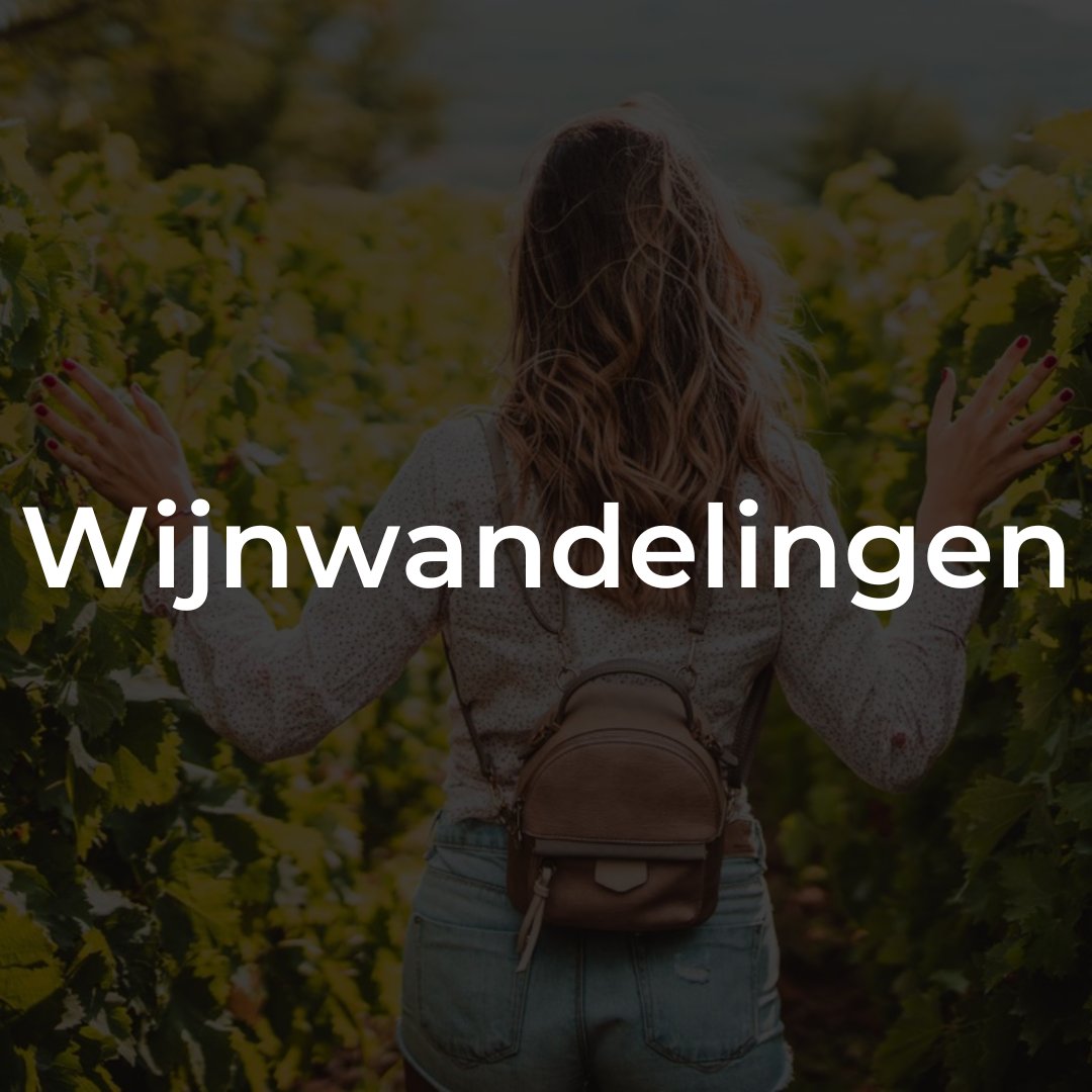 Wijnwandelingen