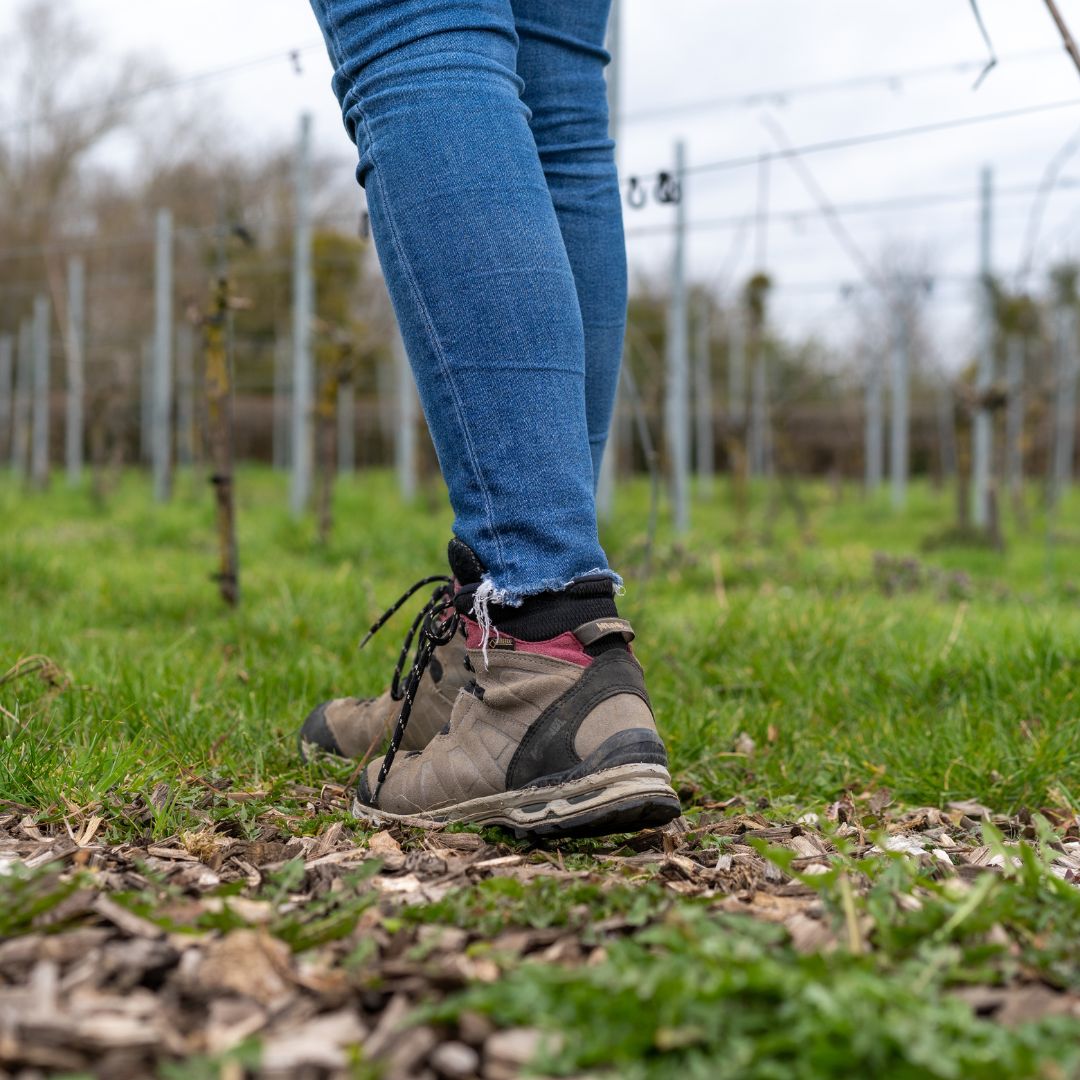 Wandelen in Vijlen