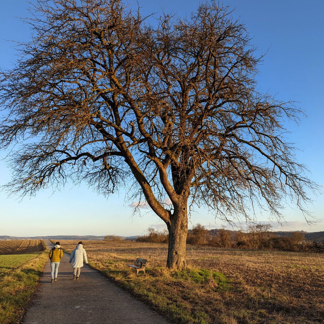 Kerstwandeling op 14 december bij Gasterie de Fontein