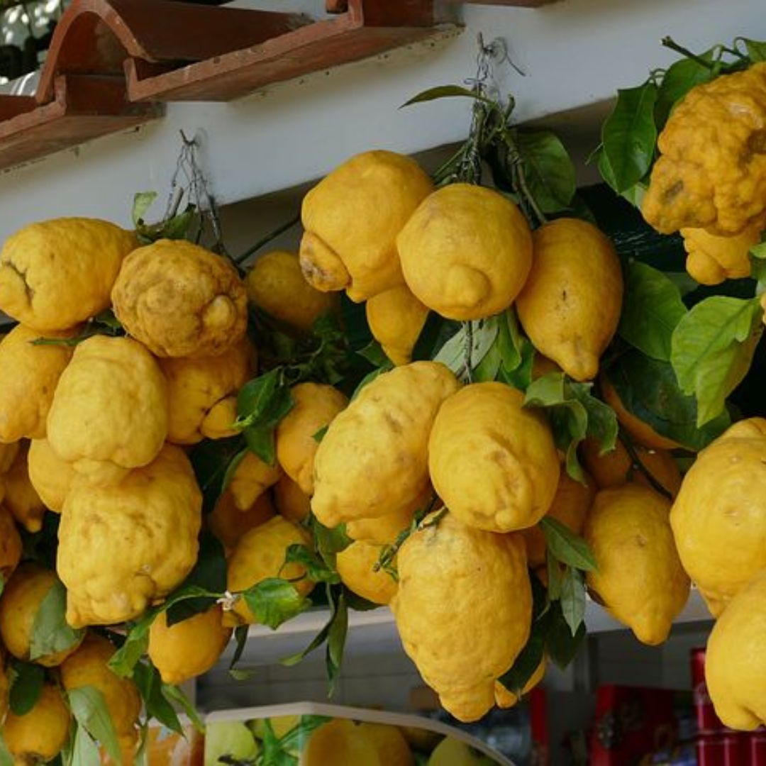 Citroenen Merxlikeuren voor Limoncello