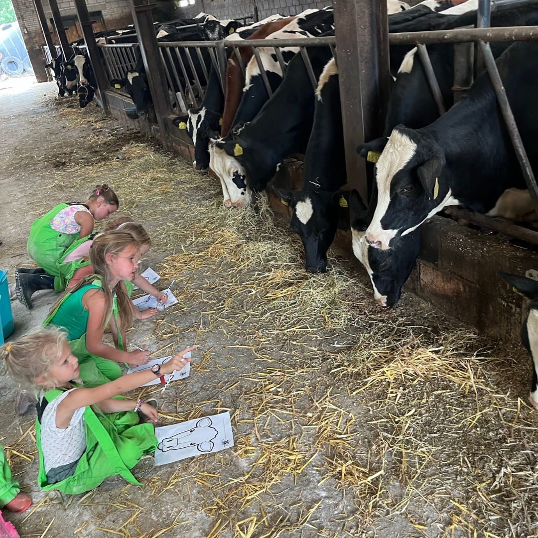 Boerderij Safari bij Het Loeigoed in Simpelveld