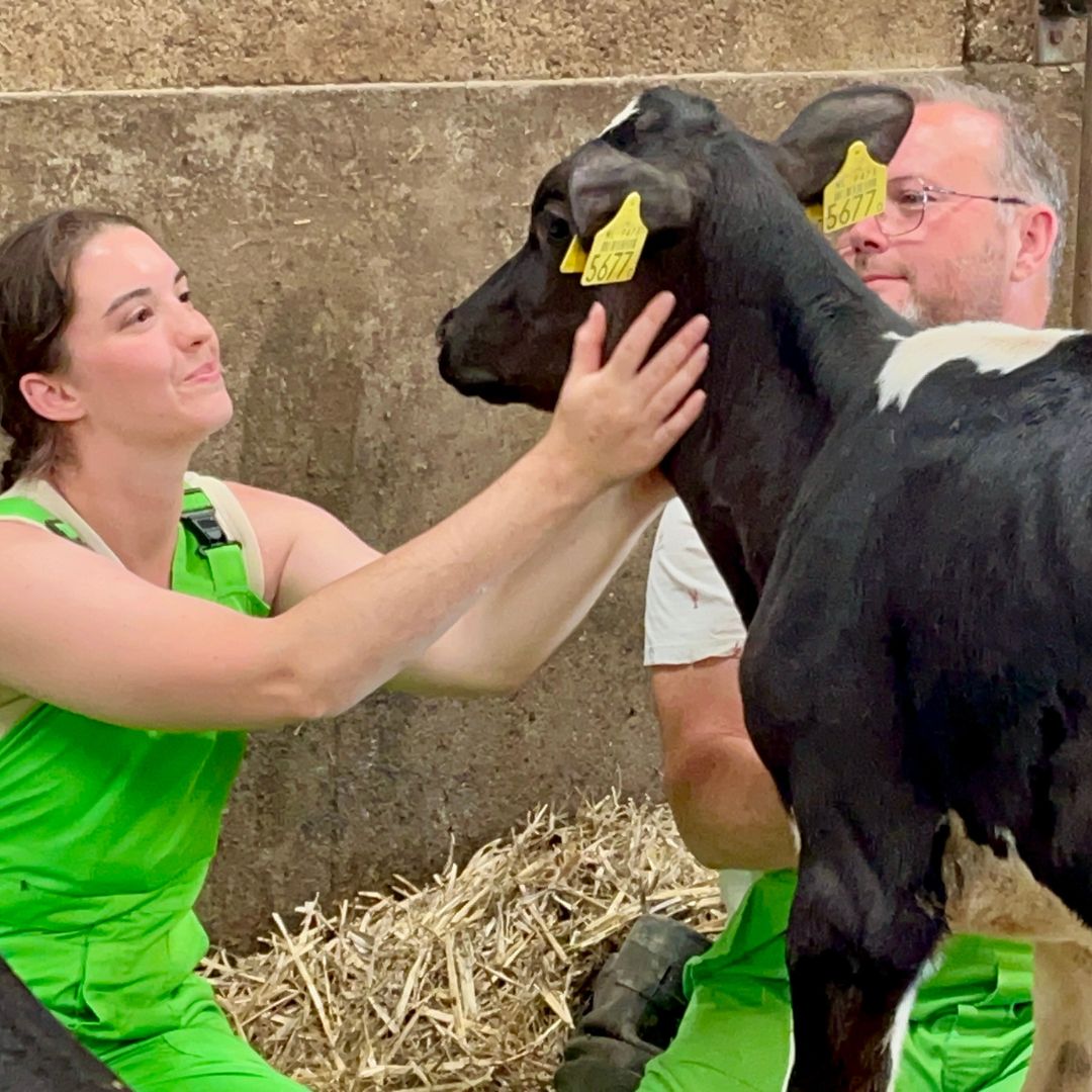 Boerderij Safari bij Het Loeigoed in Simpelveld