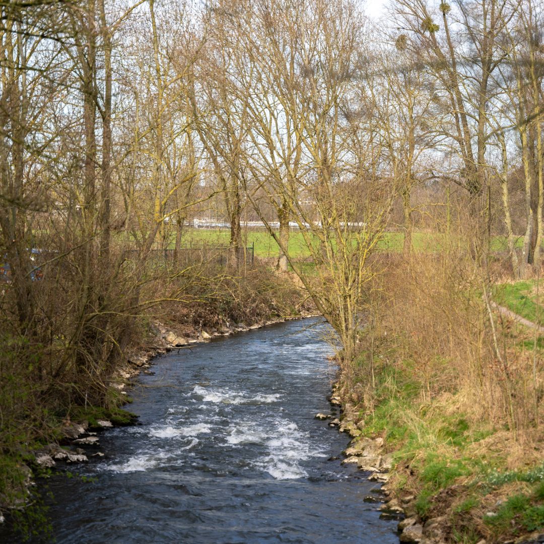 Familiespeurtocht Rimburg