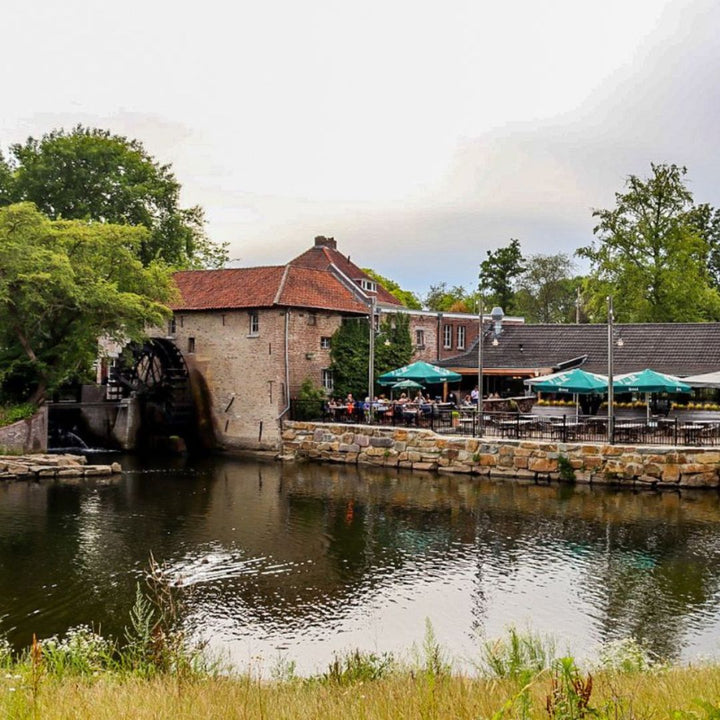 Terras De Vief Heringe