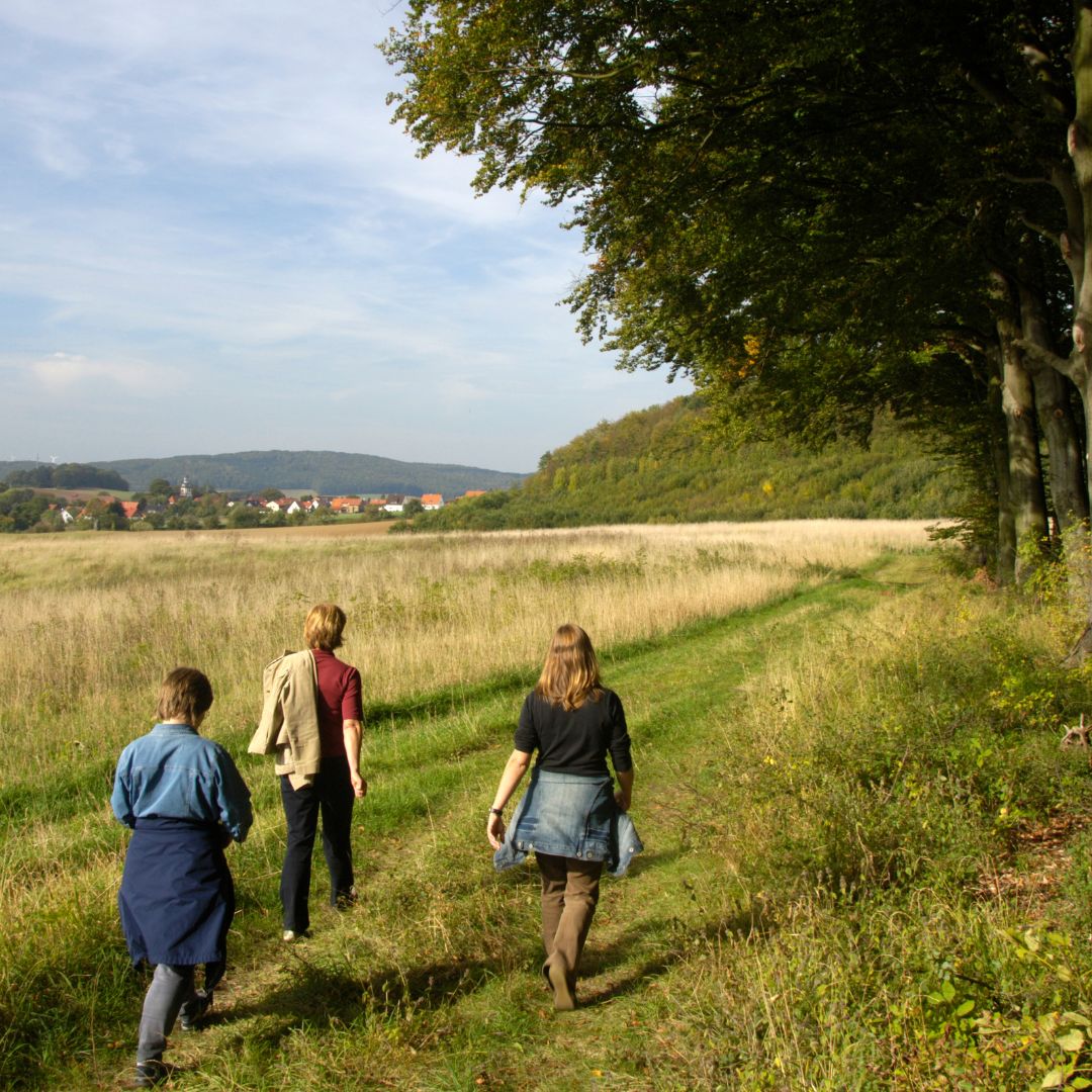 Wandelarrangement en fietsarrangement Eetcafé De Remise in Partij Wittem