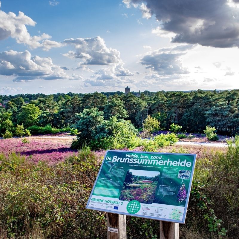 Stap & Hap Brunssummerheide