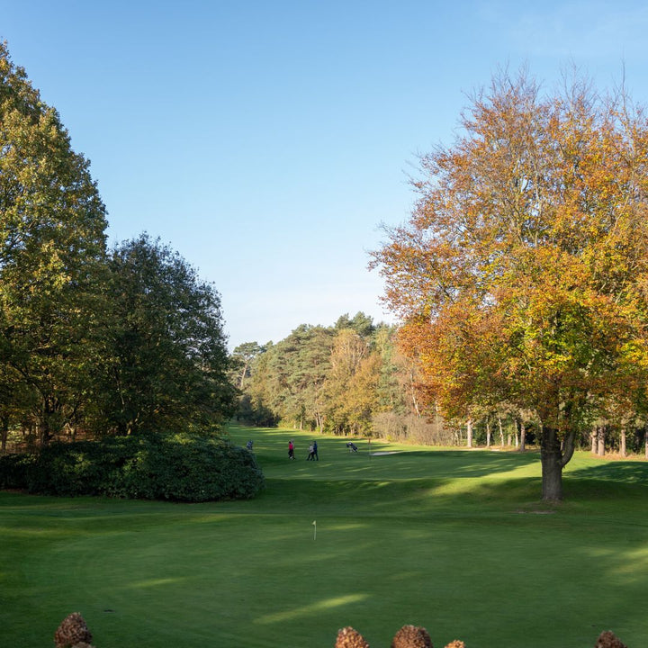 Par 3 Golfarrangement & lunch bij De Herkenbosche