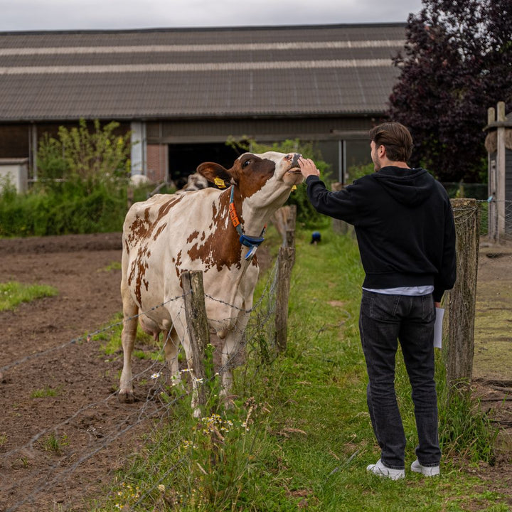 Boerderij en kaas safari bij Mildershoof in Nederweert