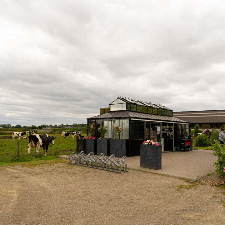 Boerderij en kaas safari bij Mildershoof in Nederweert