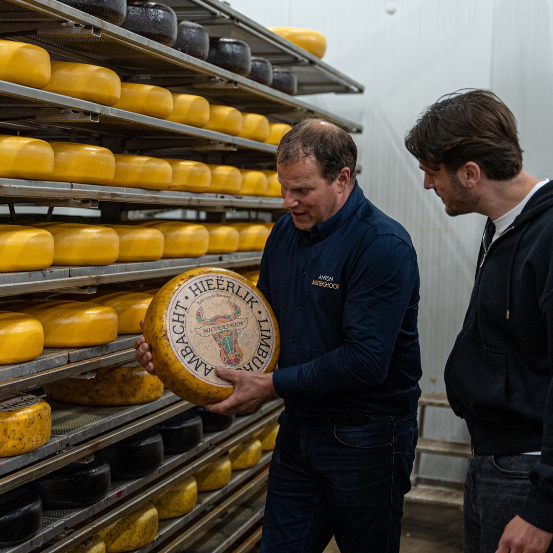 Boerderij en kaas safari bij Mildershoof in Nederweert