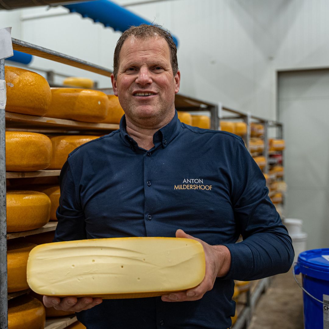 Boerderij en kaas safari bij Mildershoof in Nederweert