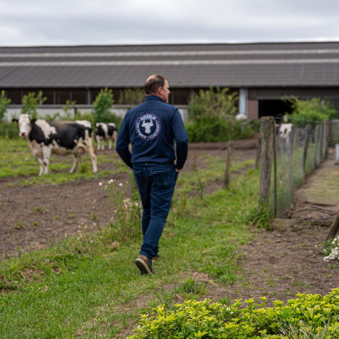 Boerderij en kaas safari bij Mildershoof in Nederweert