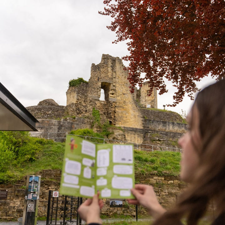 Wandeling Kasteelruïne Valkenburg