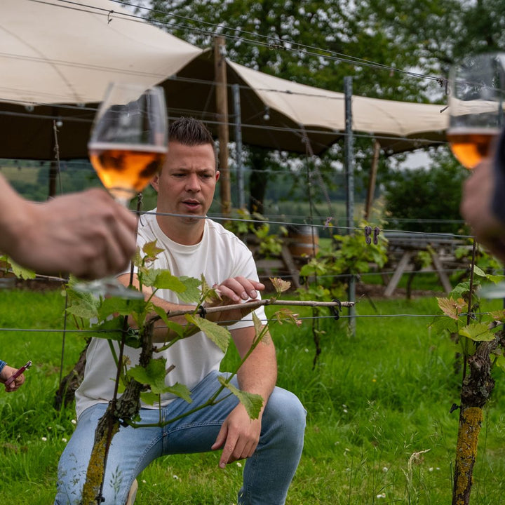 Rondleiding en wijnproeverij Wijndomein St. Martinus in Vijlen