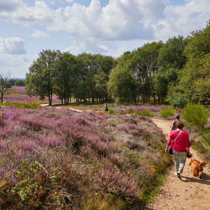 wandelen in afferden