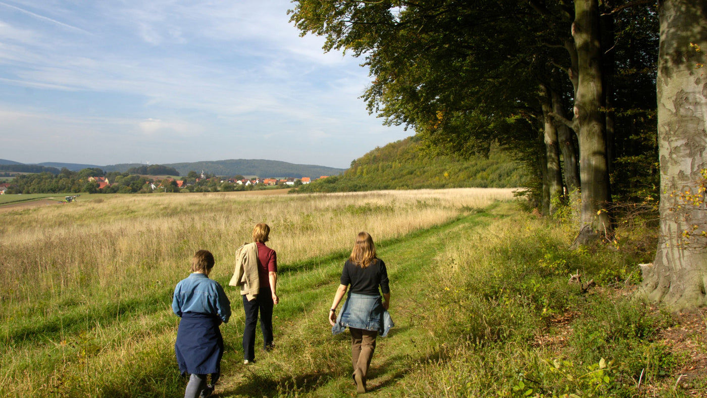 Wandelen in Limburg