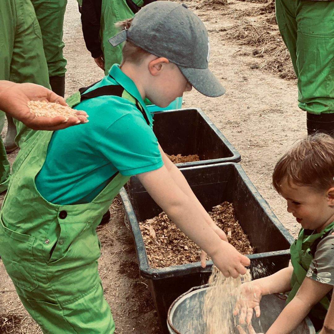 Boerderij Safari bij Het Loeigoed in Simpelveld