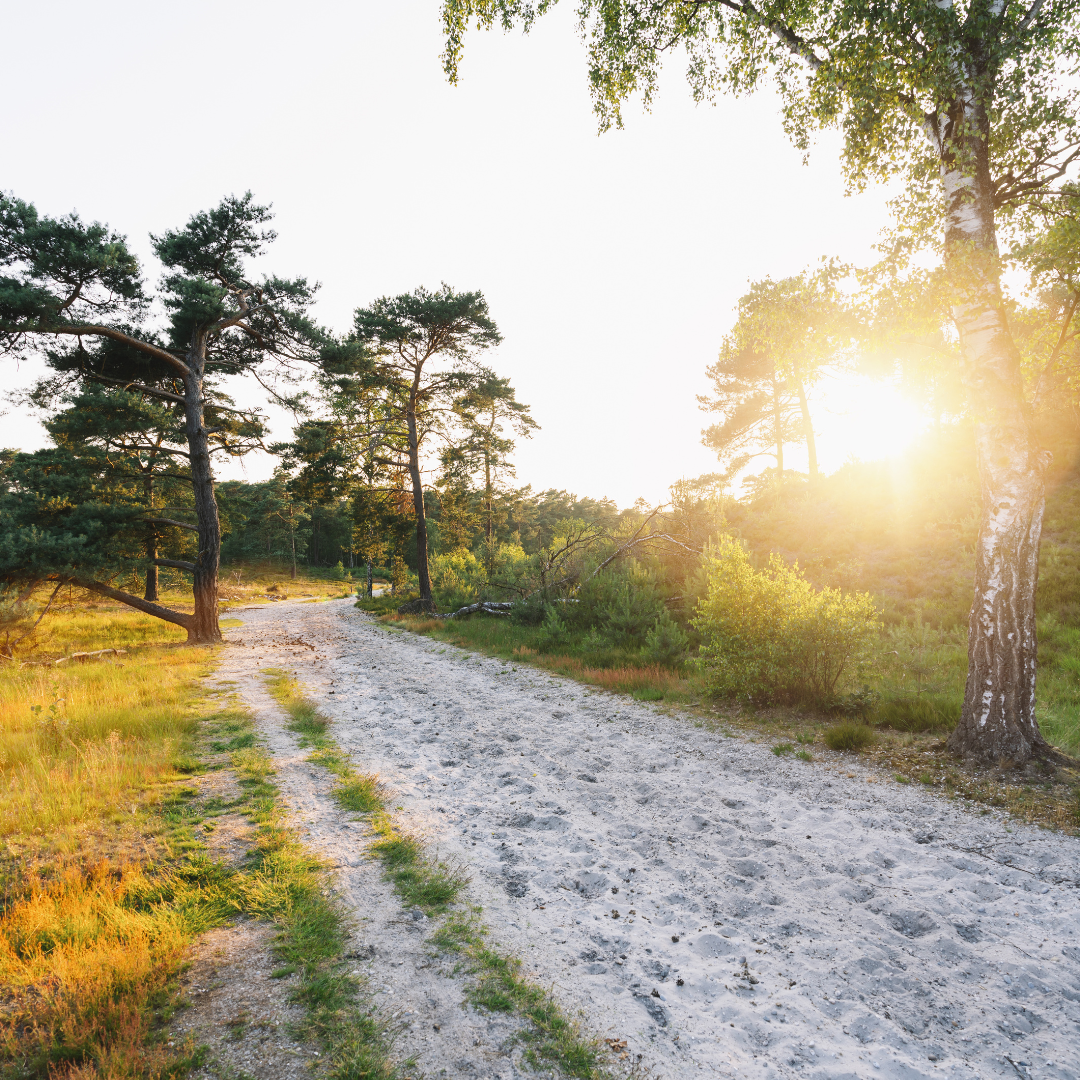 Stap & Hap Brunssummerheide