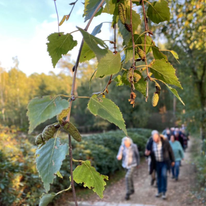 blad en groep wandelaars