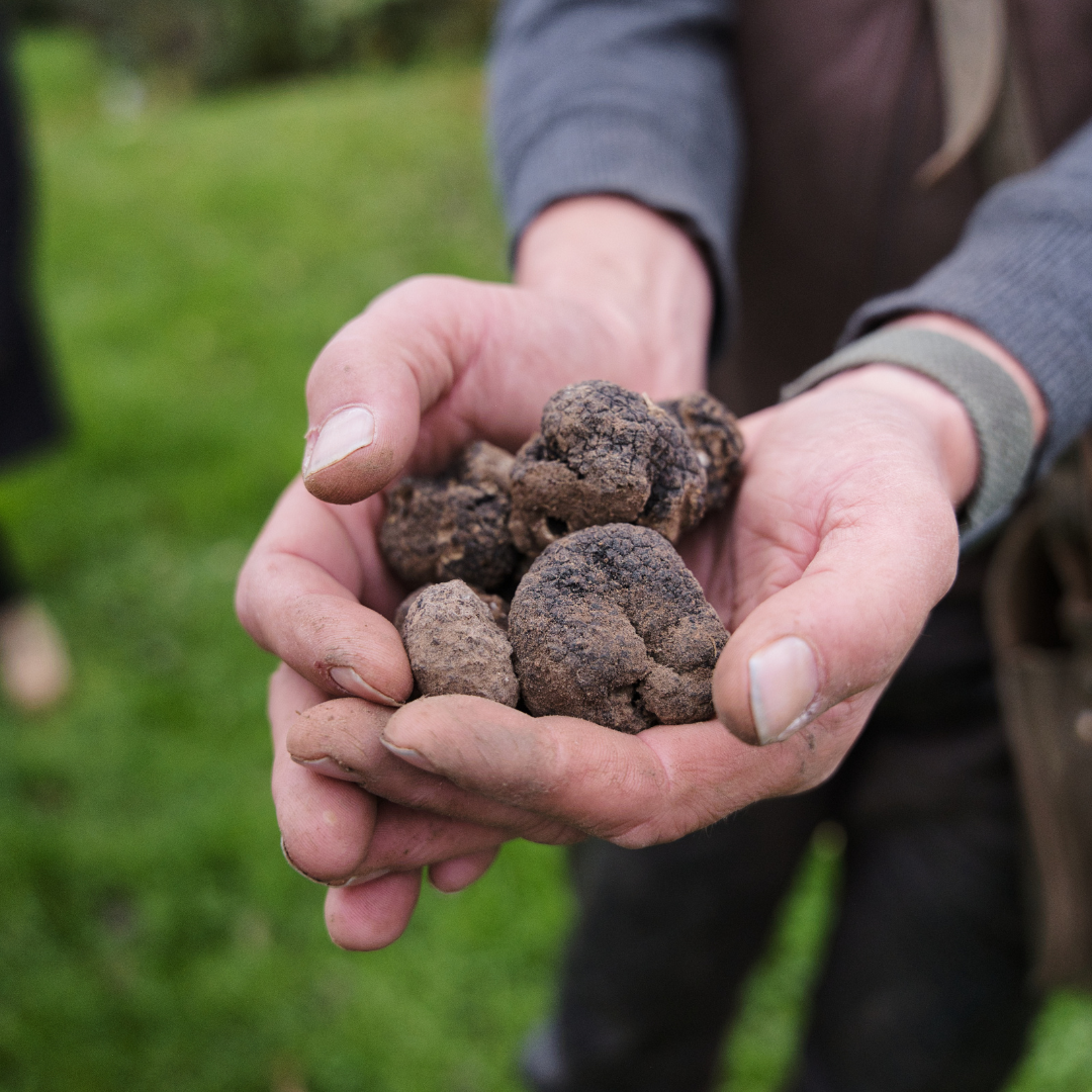 Limburgs Truffelarrangement de Eyserhalte