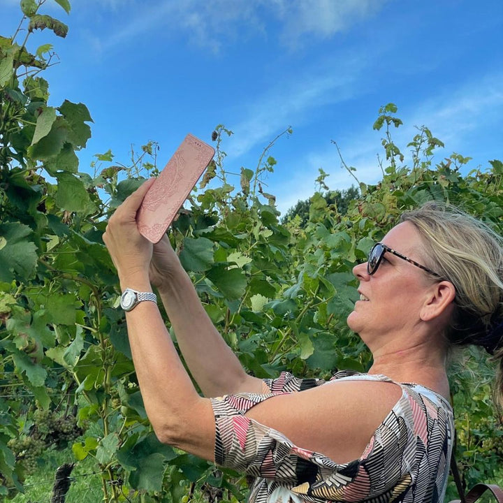 Smartphone Fotoworkshop bij Wijngoed Frombergvan Jörgen van Beem