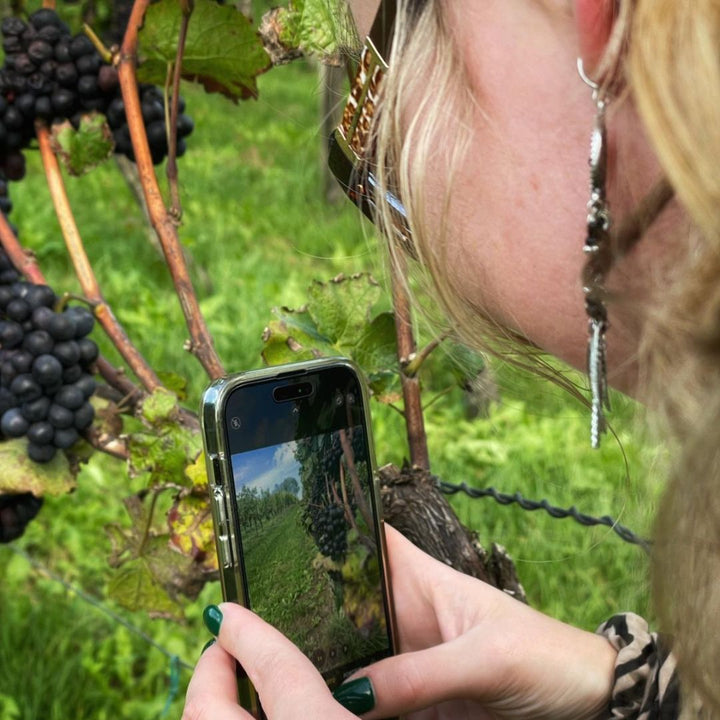 Smartphone Fotoworkshop bij Wijngoed Frombergvan Jörgen van Beem