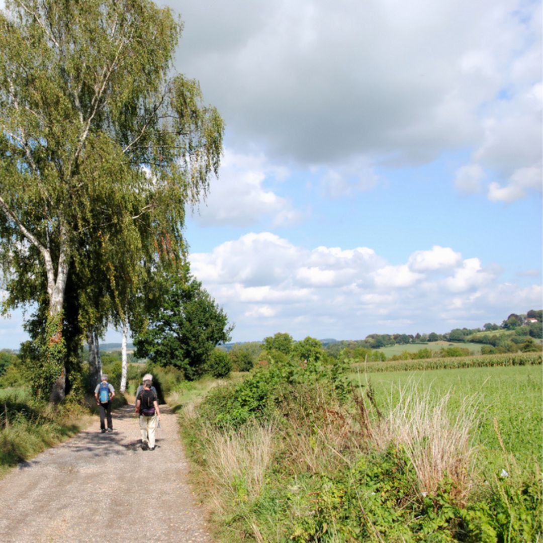 Wandelen Geulhem, Berg en Terblijt, Valkenburg