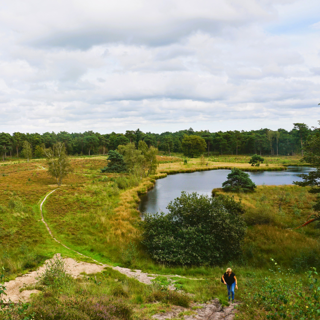 wandelen in nationaal park de maasduinen