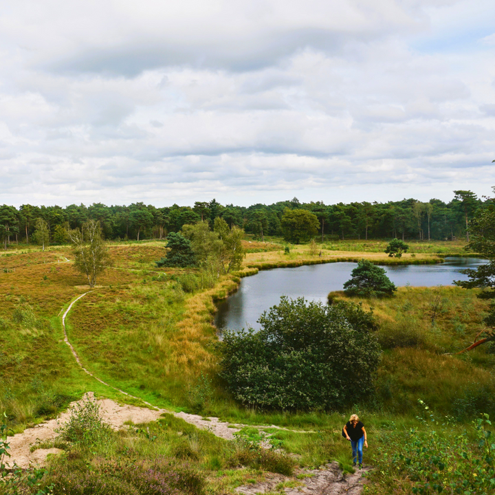 wandelen in nationaal park de maasduinen