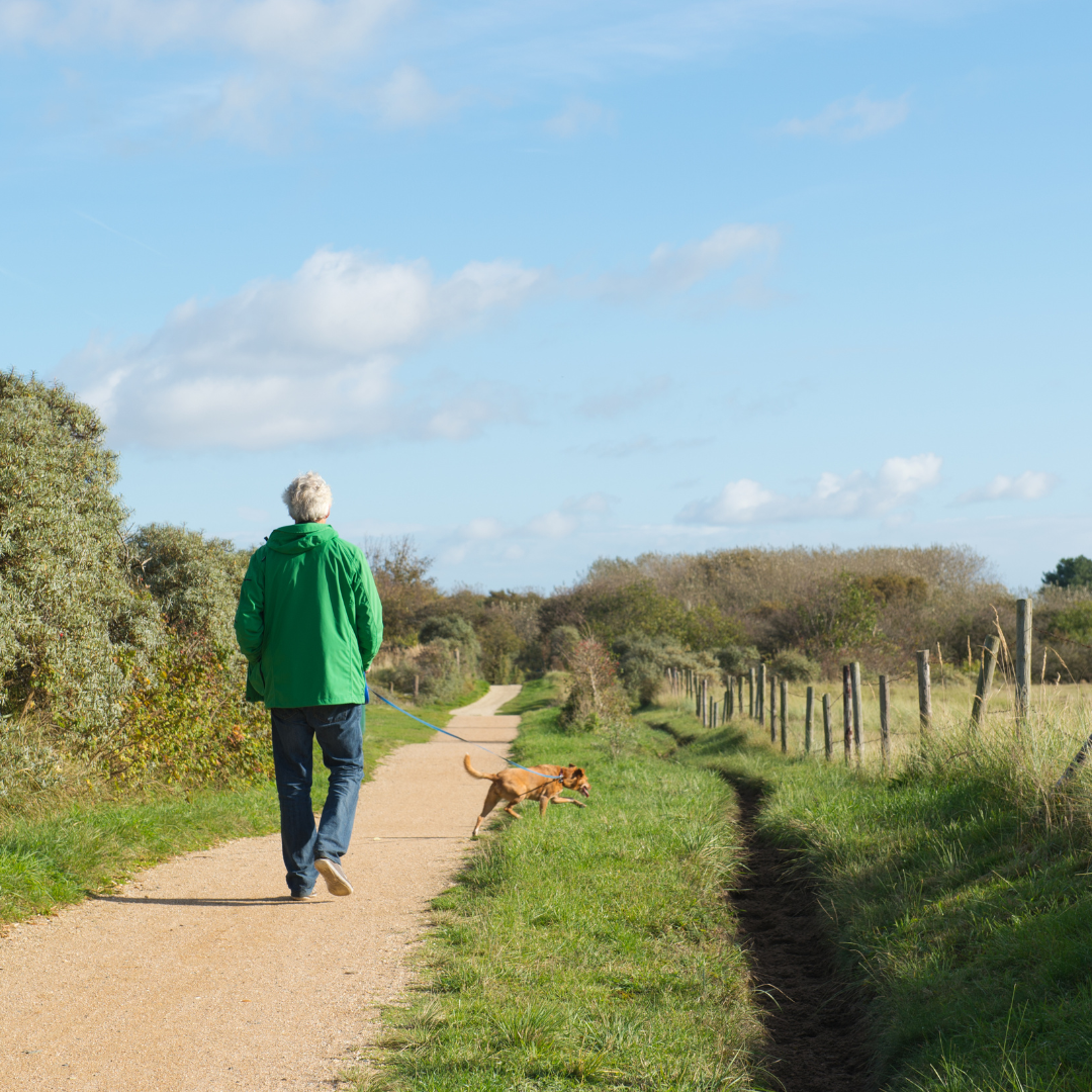 wandelen in Schinveld