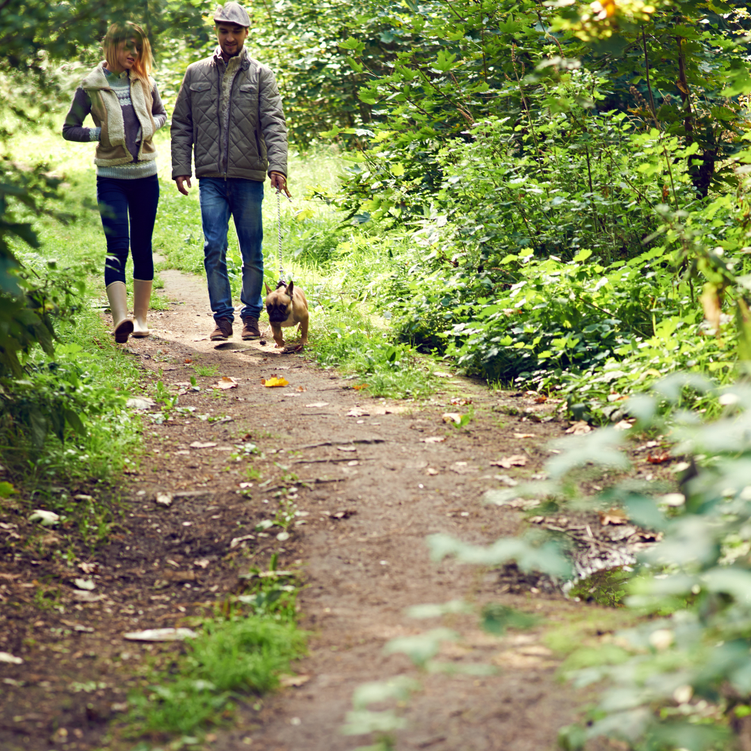 Wandeling bij Geulle aan de Maas