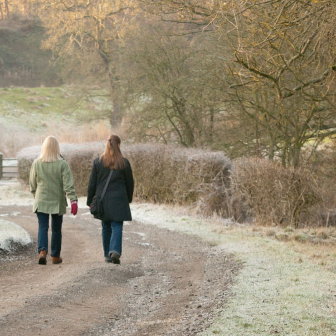 Winterwandeling bij land van kalk