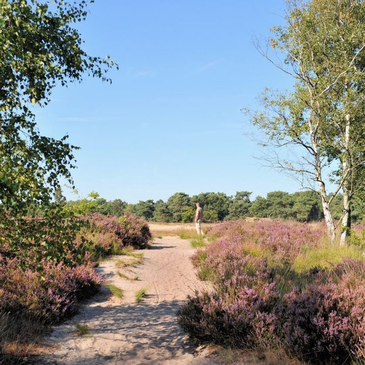 wandelen in schinveld