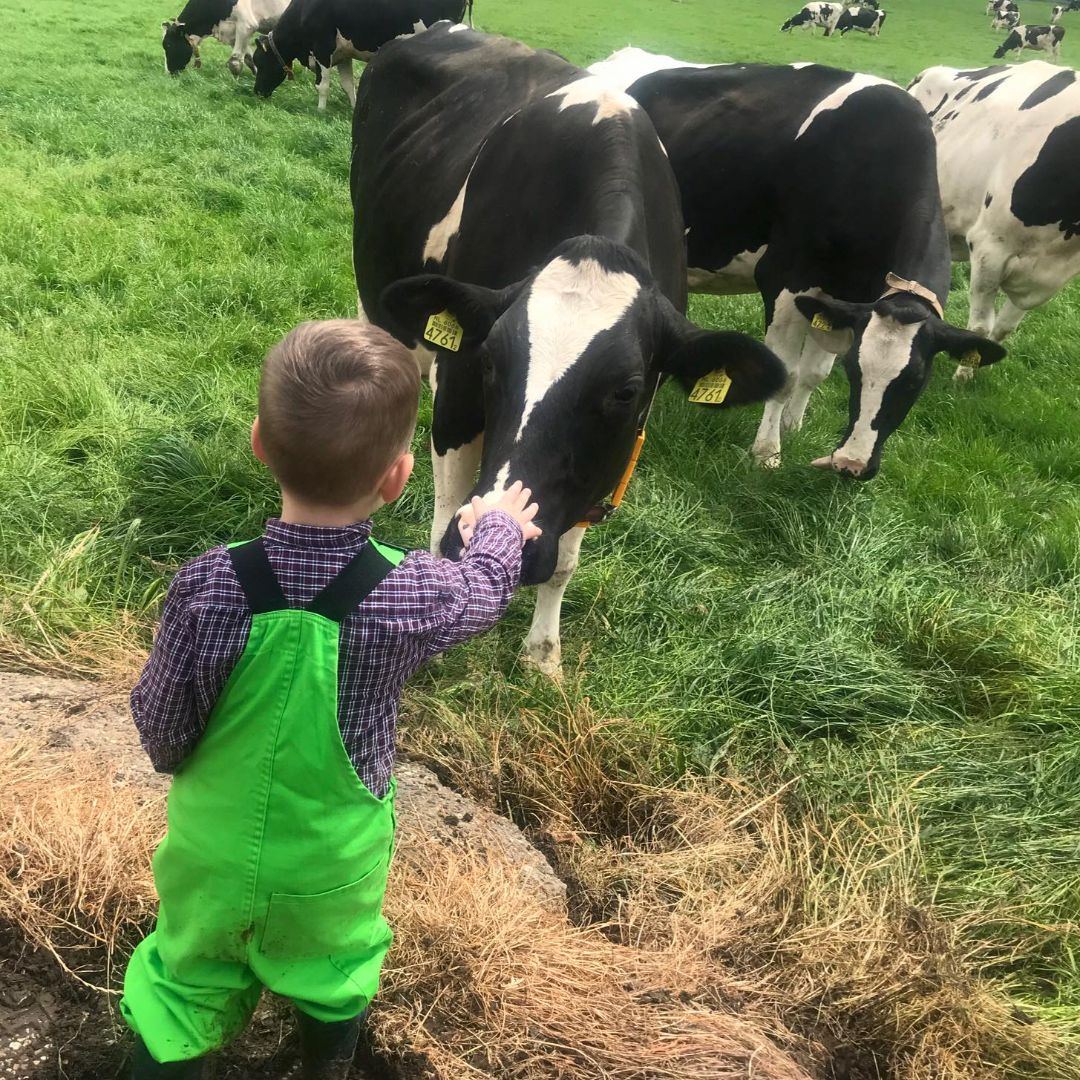 Boerderij Safari bij Het Loeigoed in Simpelveld