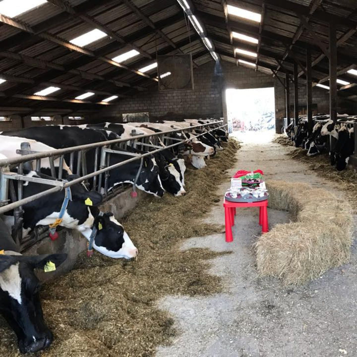 Boerderij Safari bij Het Loeigoed in Simpelveld